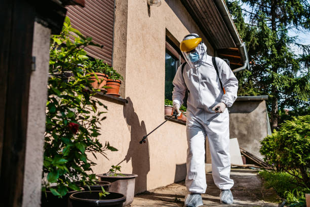 Best Pest Control for Homes  in Andrews, IN