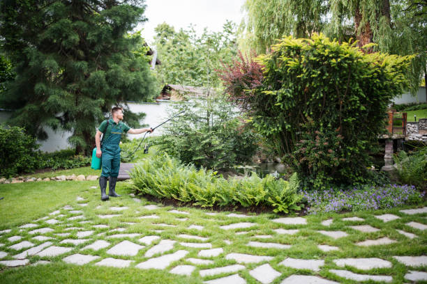Wasp Removal Services in Andrews, IN