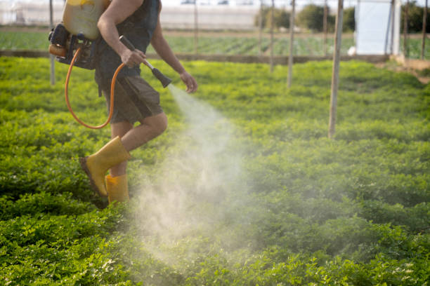 Professional Pest Control in Andrews, IN