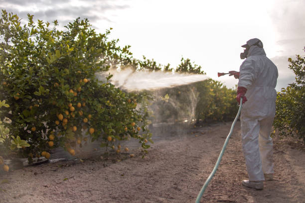 Best Bed Bug Extermination  in Andrews, IN