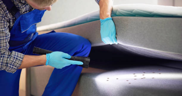 Best Affordable Pest Control Services  in Andrews, IN