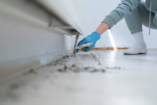 Wildlife Control Services in Andrews, IN